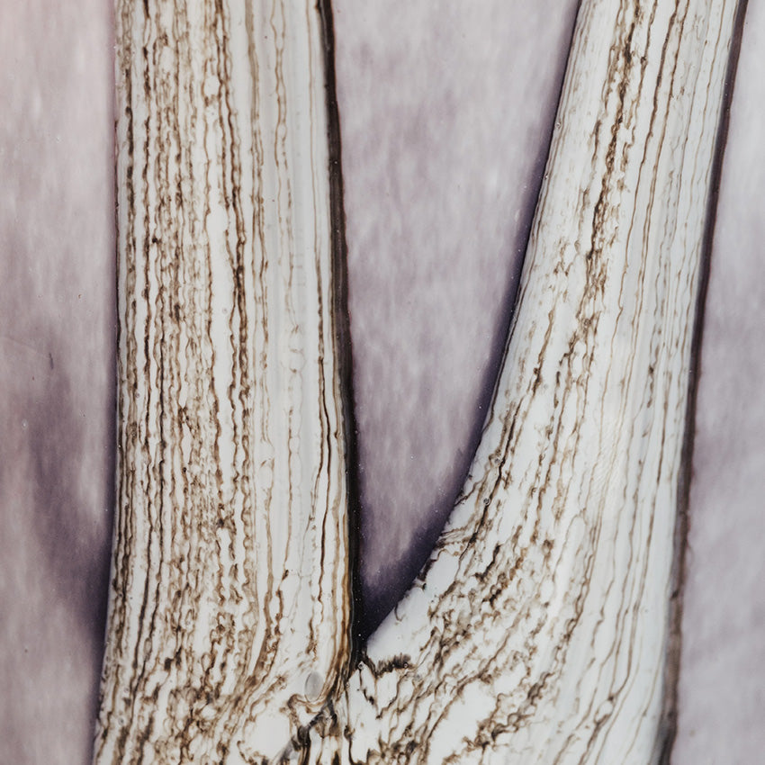 Baobab Collection | Candle Woods Broceliande