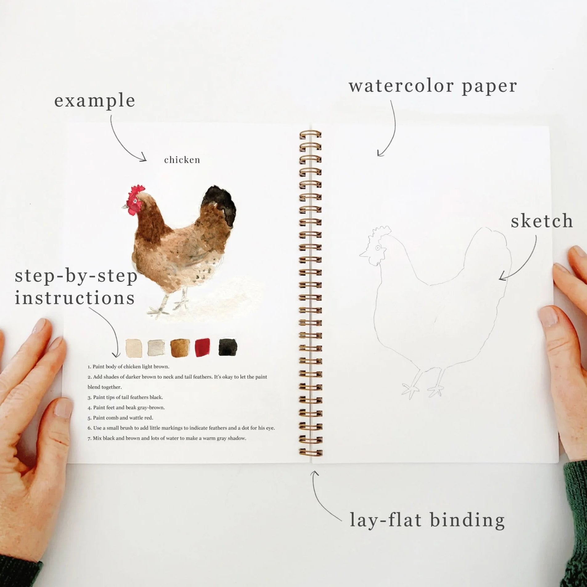 Emily Lex | Animals Watercolour Workbook