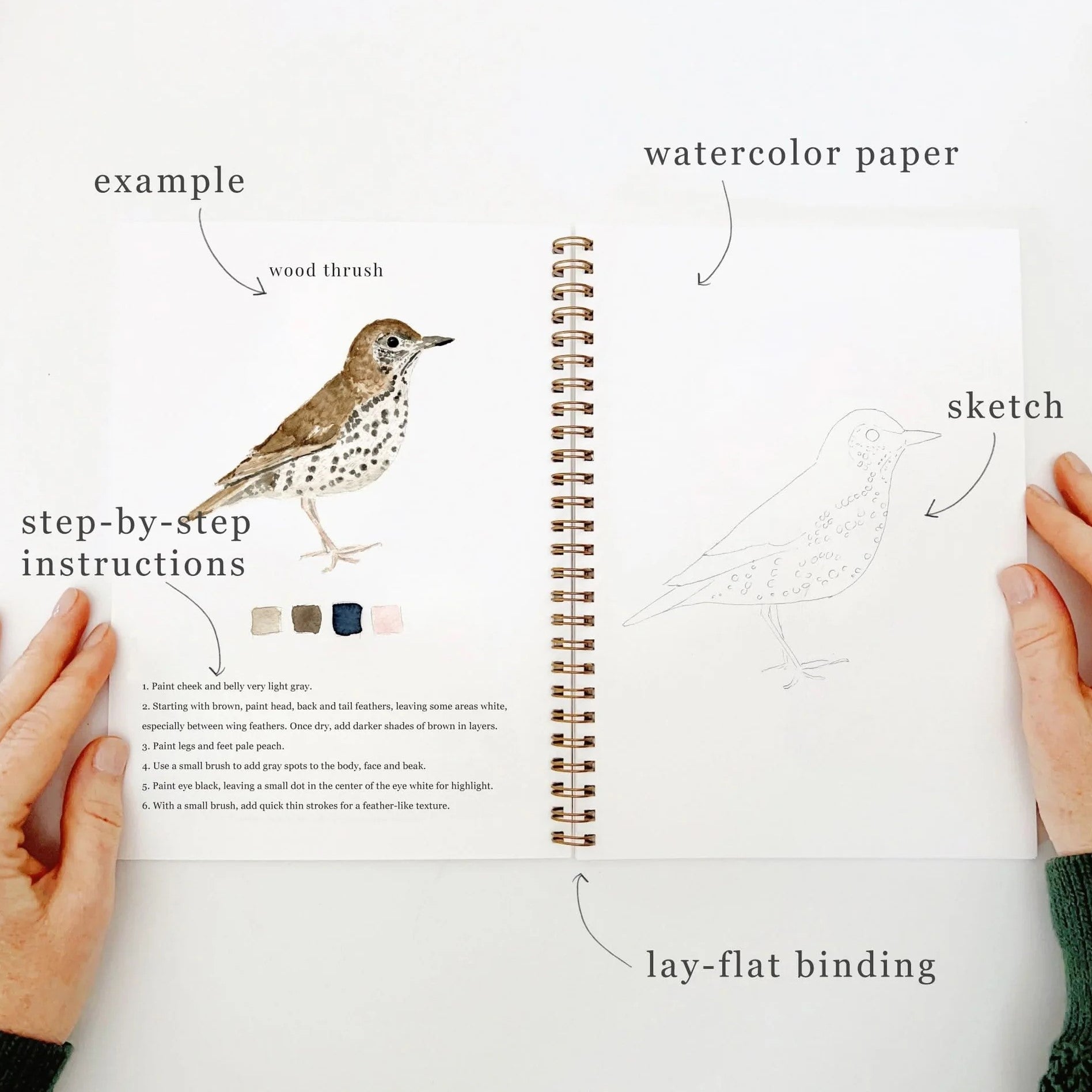 Emily Lex | Birds Watercolour Workbook
