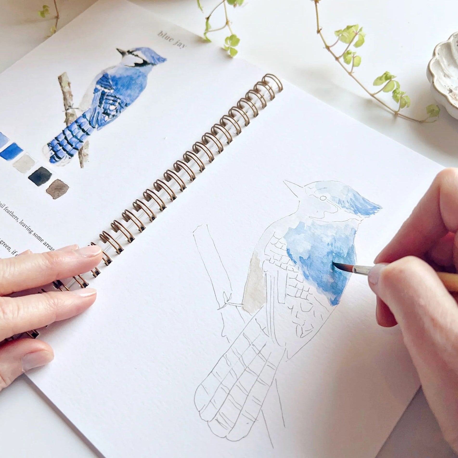 Emily Lex | Birds Watercolour Workbook