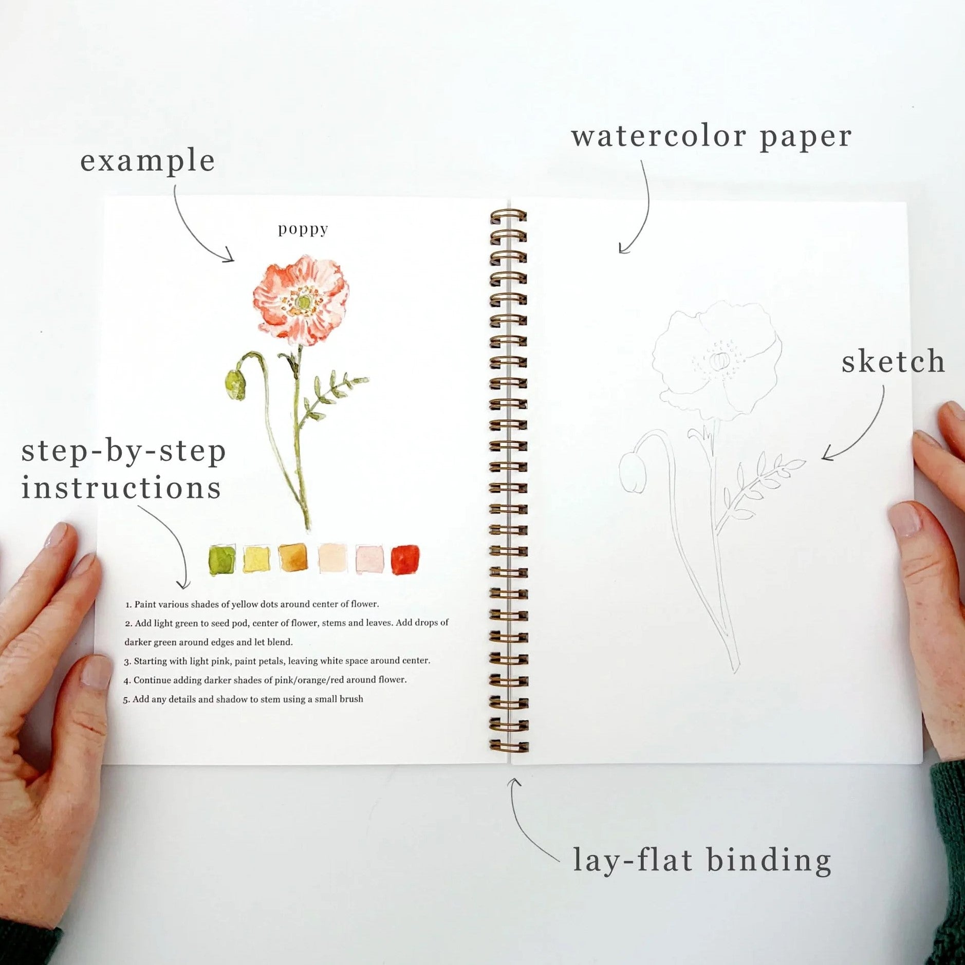 Emily Lex | Flowers Watercolour Workbook