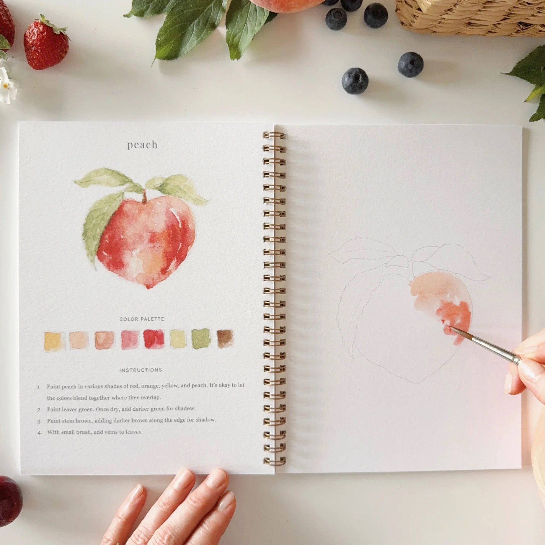 Emily Lex | Fruit Watercolour Workbook