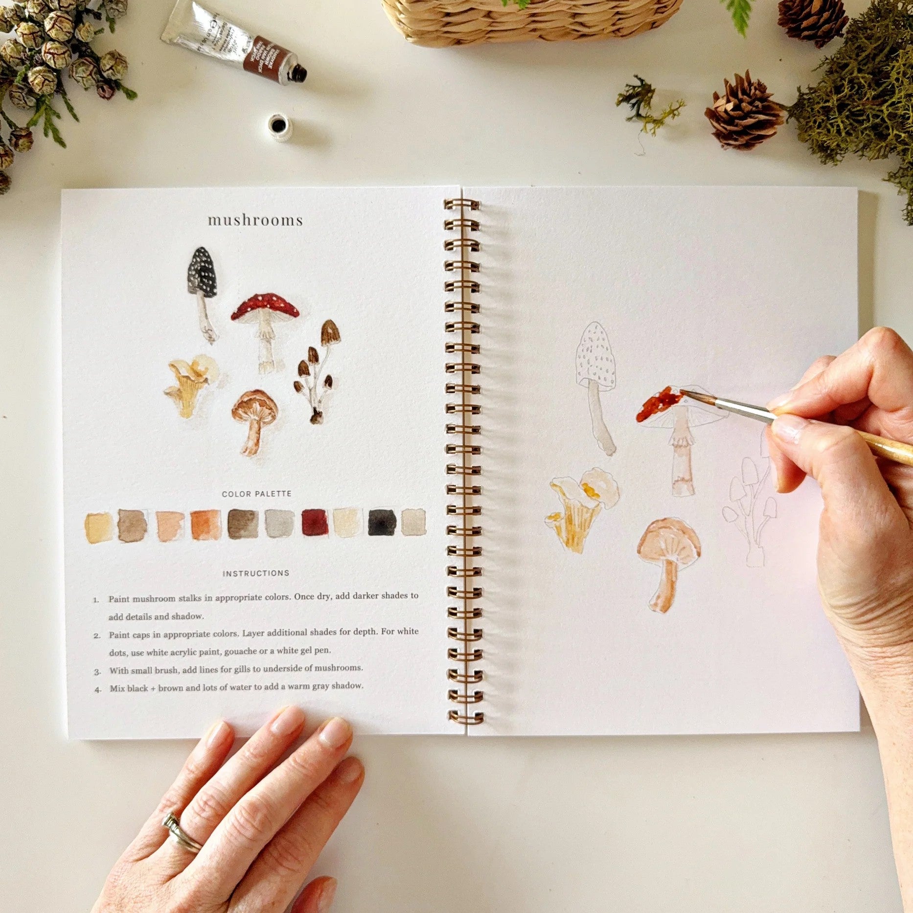 Emily Lex | Woodland Watercolour Workbook