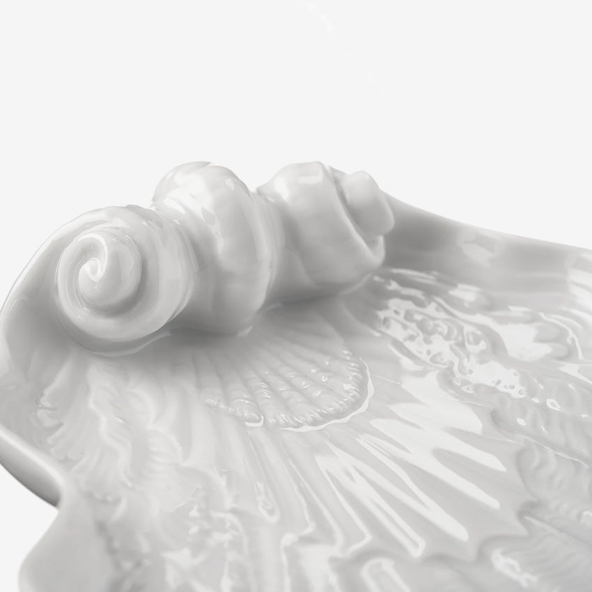 Meissen | Shell-shaped Dish