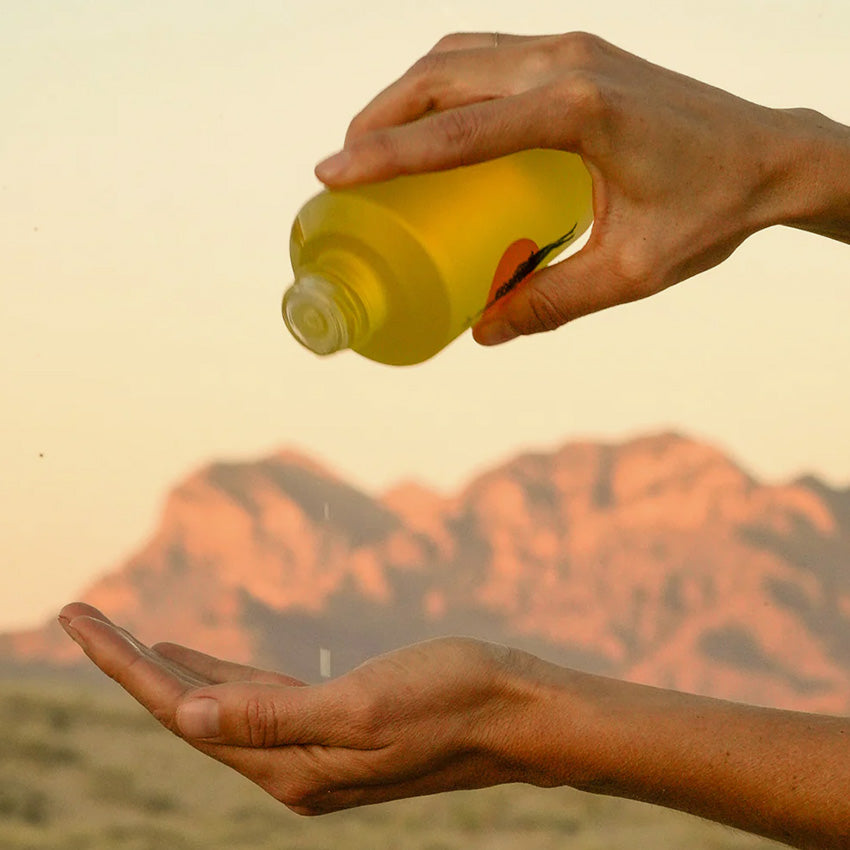 Wonder Valley | Hinoki Body Oil