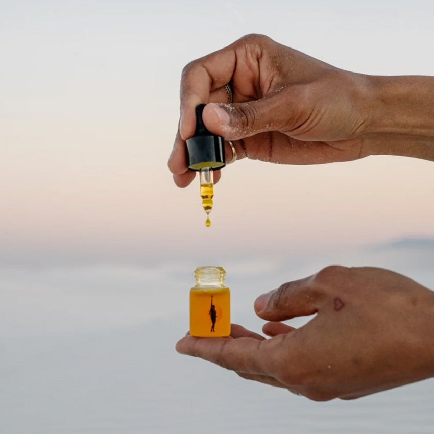 Wonder Valley | Little Wonders Set