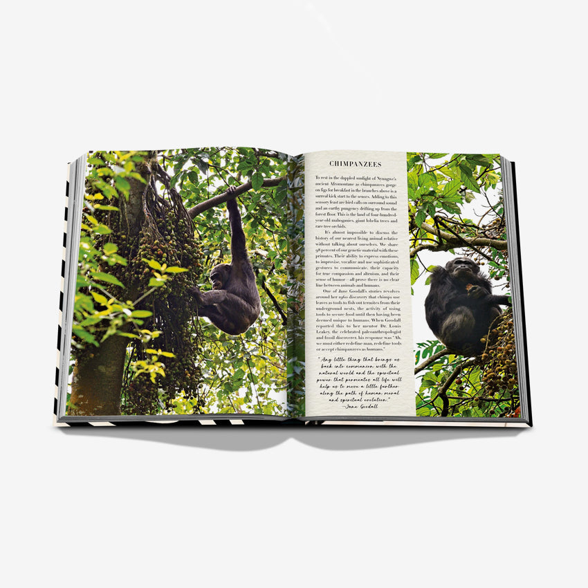 Assouline | Aventures Africaines: Le Plus Grand Safari Sur Terre