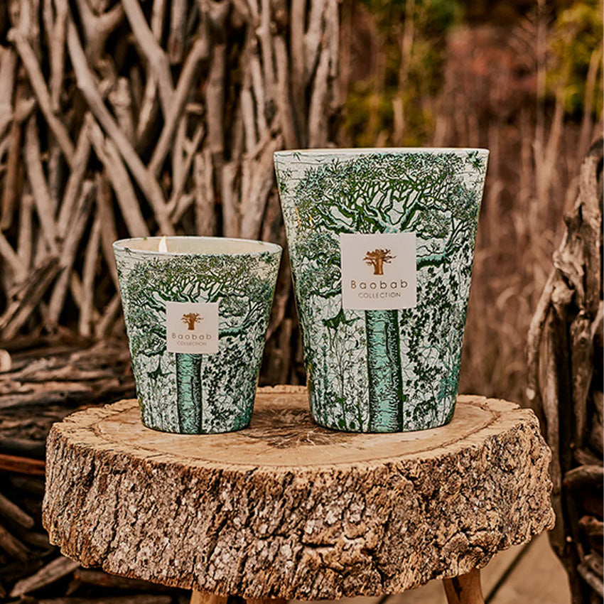 Baobab Collection | Sacred Trees Kamalo