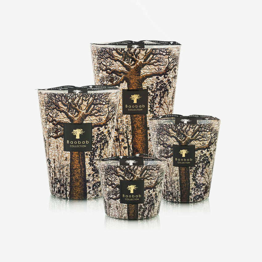 Baobab Collection | Sacred Trees Morondo