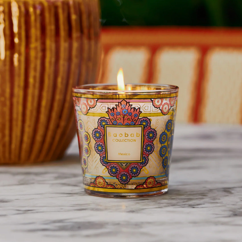 Baobab Collection | My First Baobab Mexico