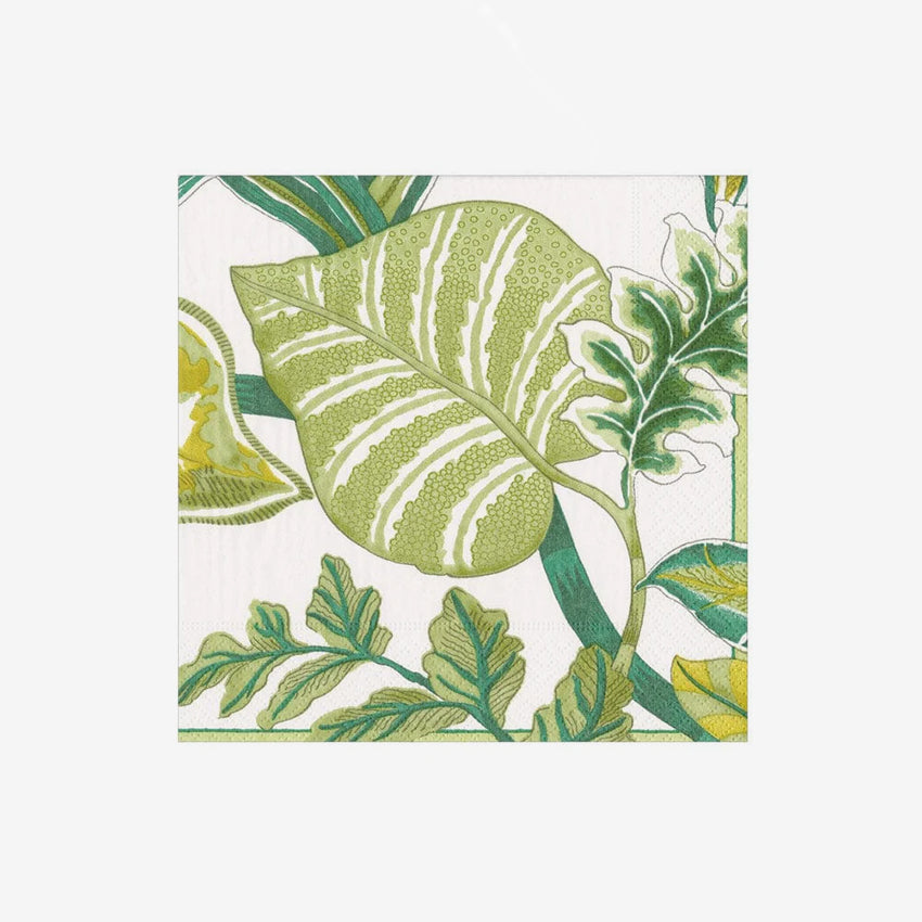 Caspari | Florida Ivory Napkins