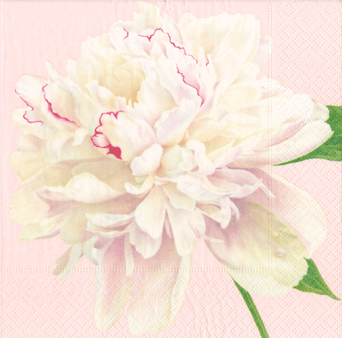 Caspari | Duchess Peonies Blush Napkin