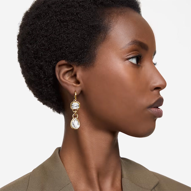 Swarovski | Dextera Mixed Cuts Drop Earrings