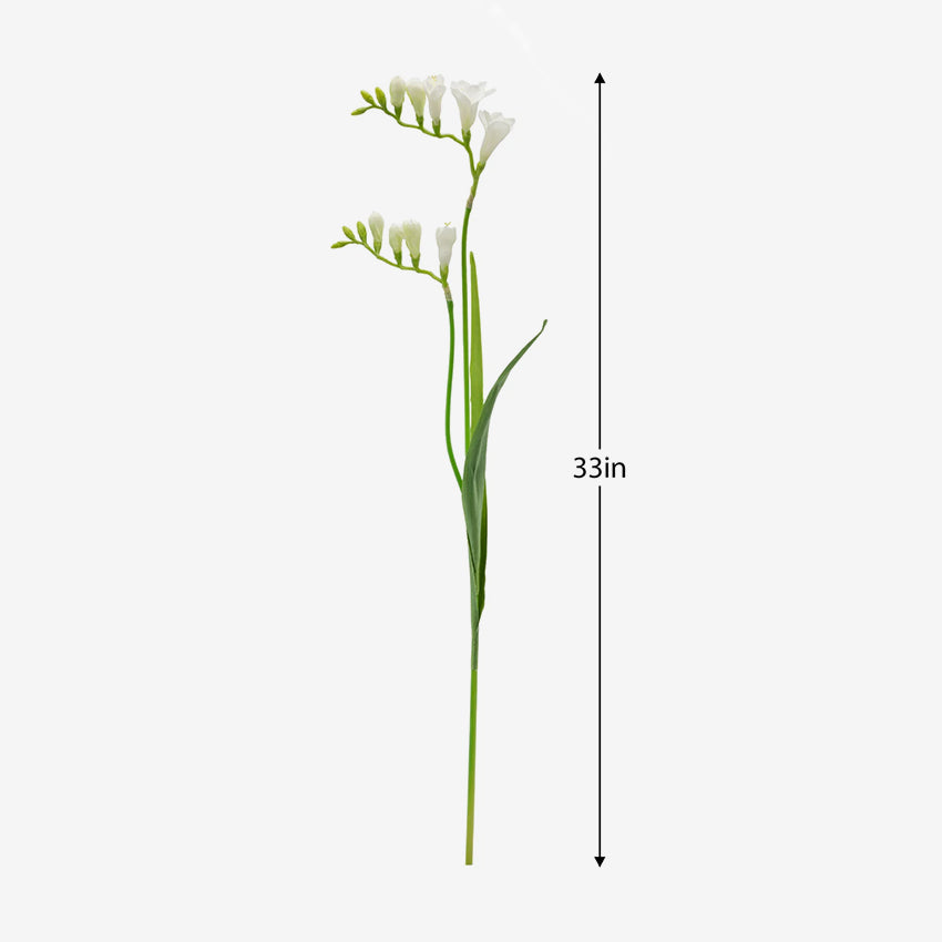 Torre & Tagus | Freesia Multi Bloom Stem - White