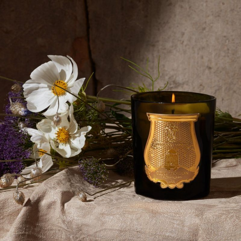 Trudon | Great Solis Rex Scented Candle