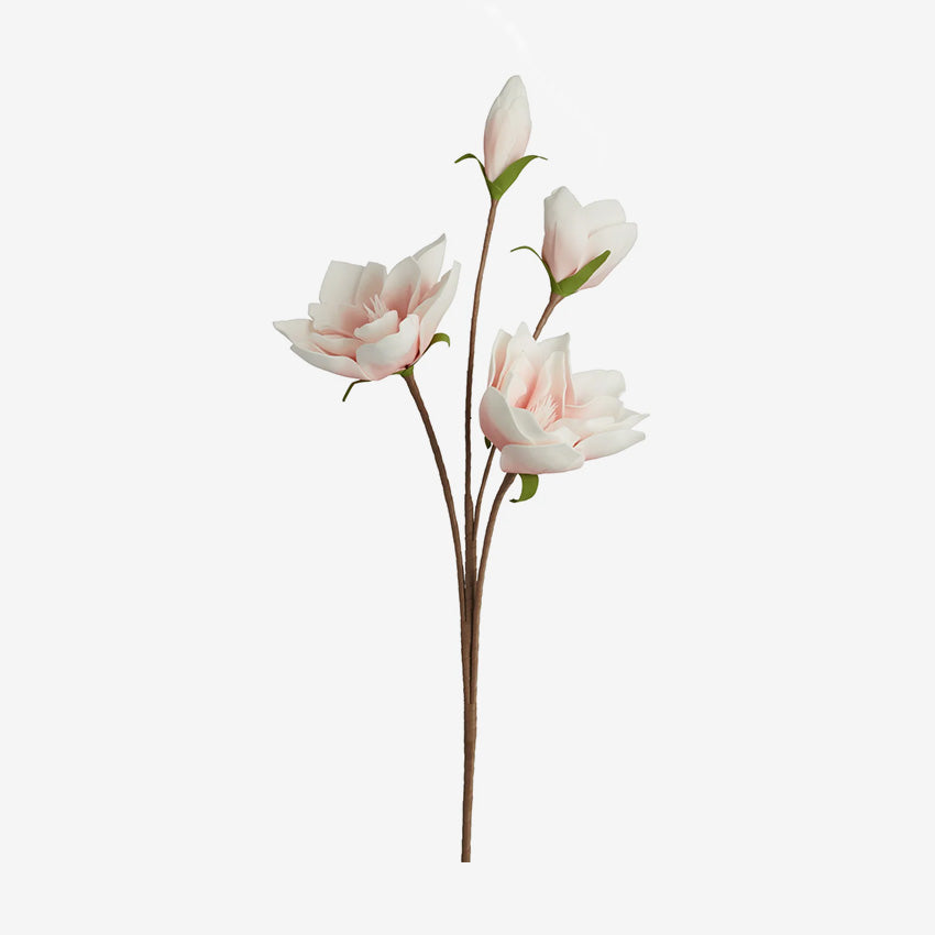 Torre & Tagus | Desert Four Bloom Magnolia