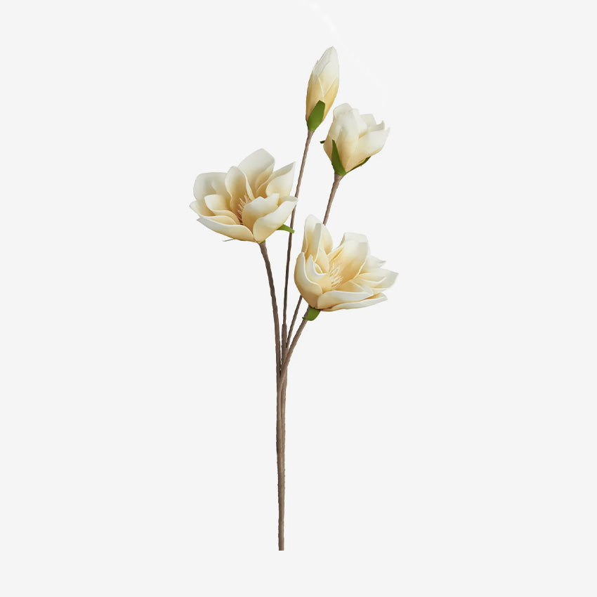 Torre & Tagus | Desert Four Bloom Magnolia
