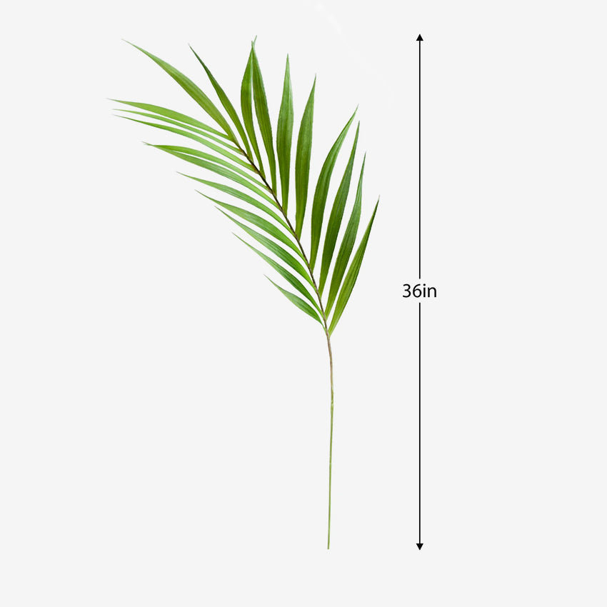 Torre & Tagus | Palm Leaf 36" Stem