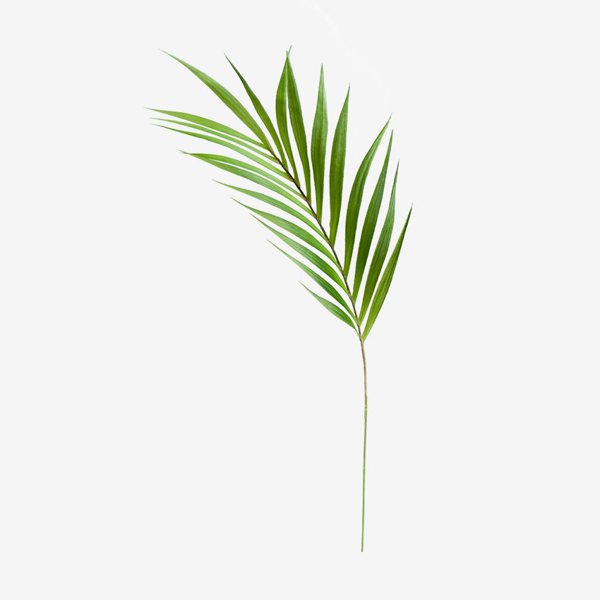 Torre & Tagus | Palm Leaf 36" Stem