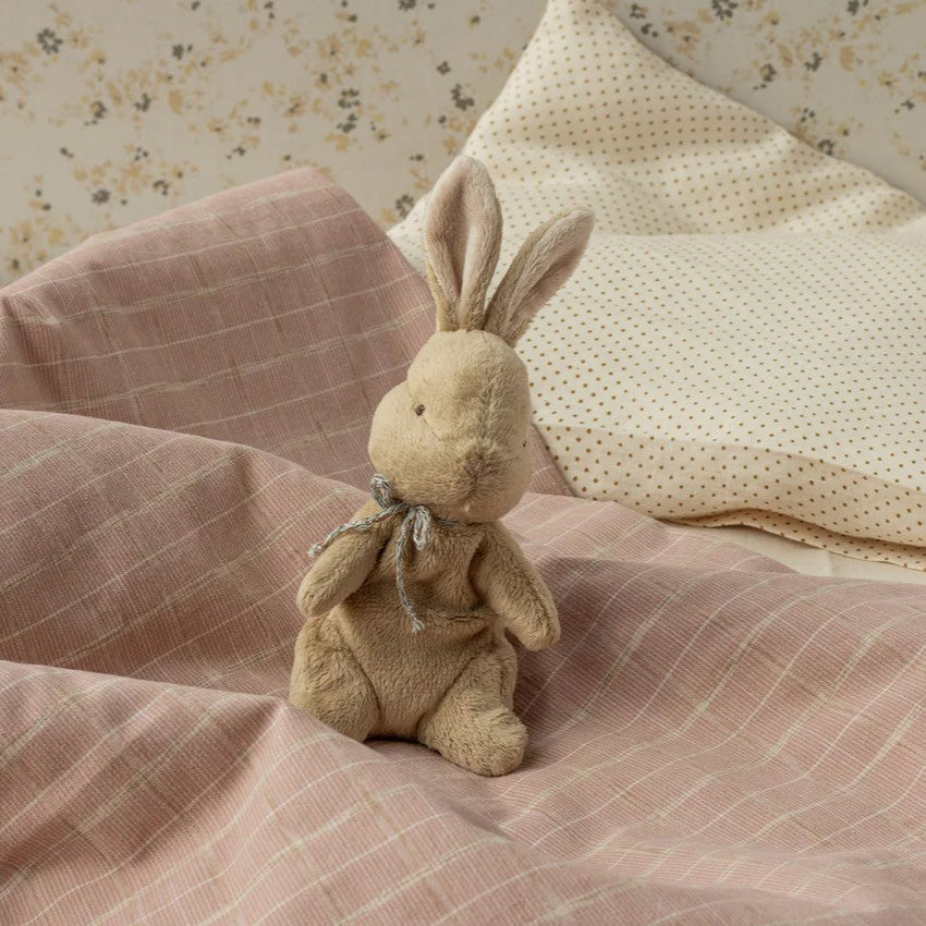 Baby & Kids Toys