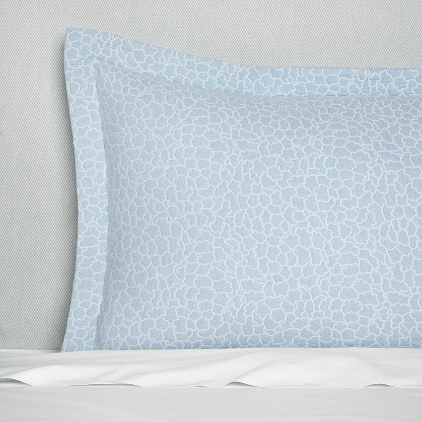 Sferra | Aurelia Sham