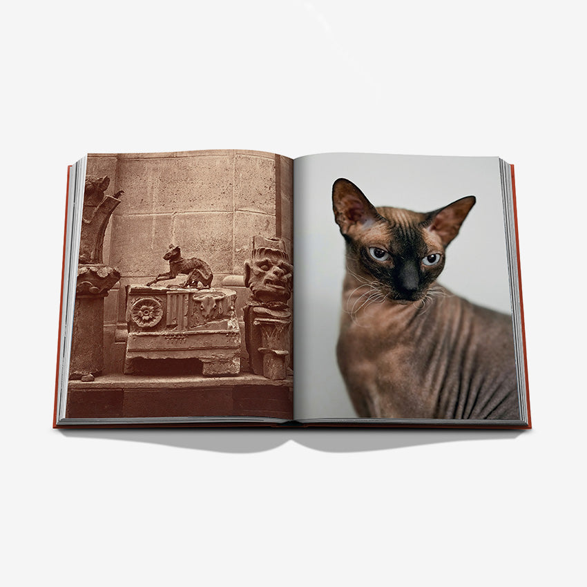 Assouline | « Chic Cats »