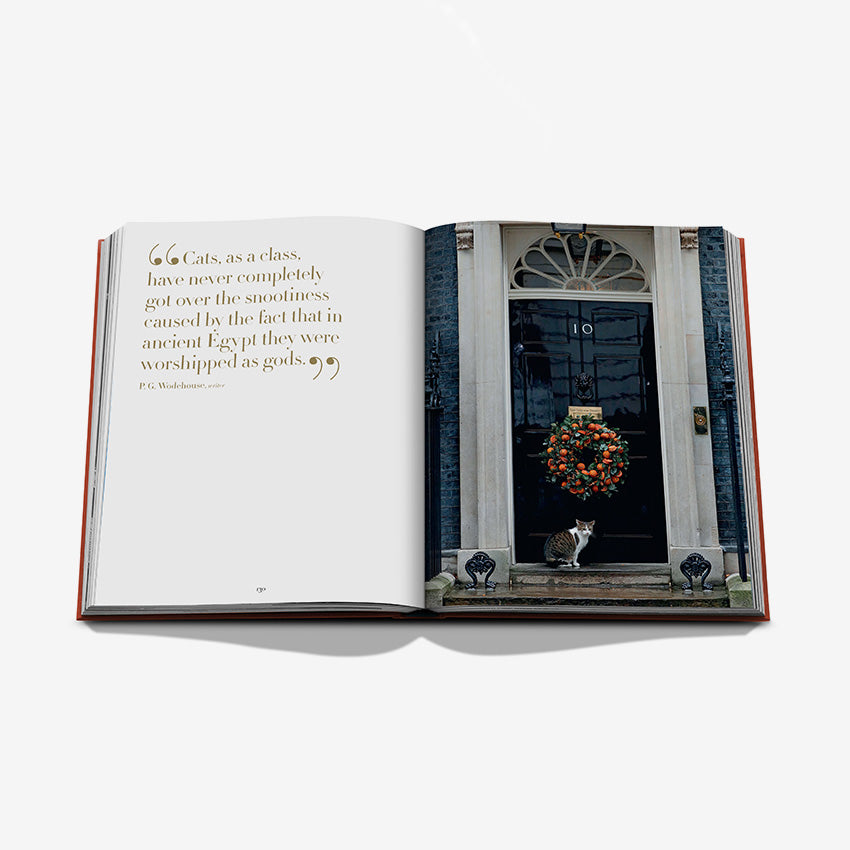 Assouline | « Chic Cats »