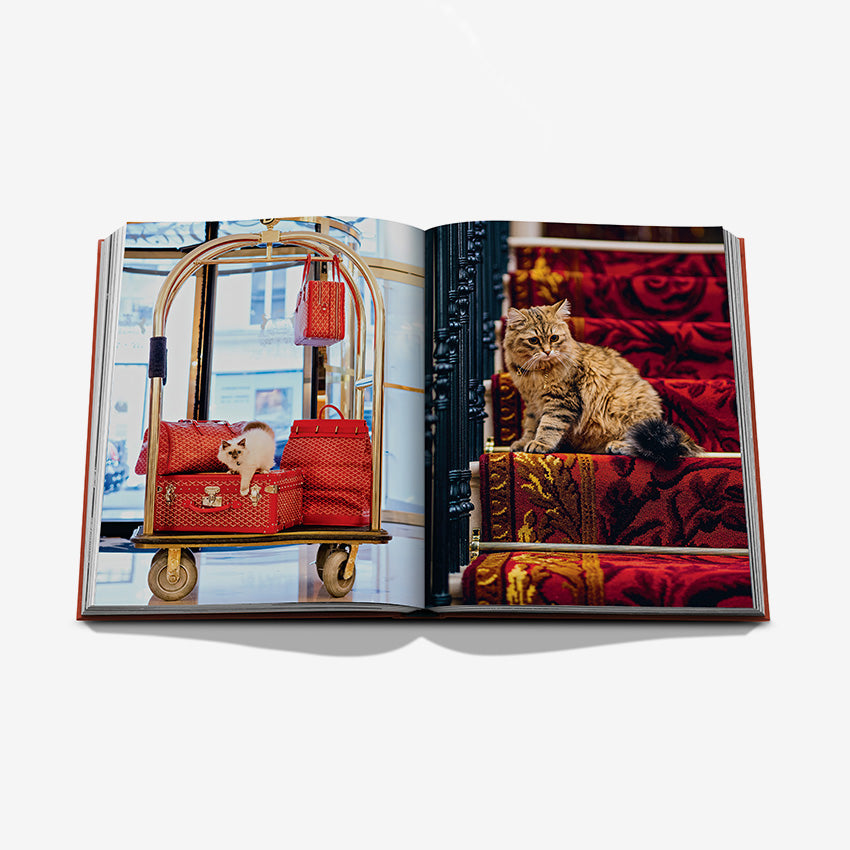 Assouline | « Chic Cats »