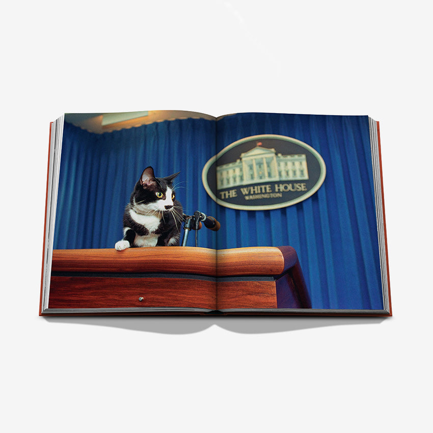 Assouline | « Chic Cats »