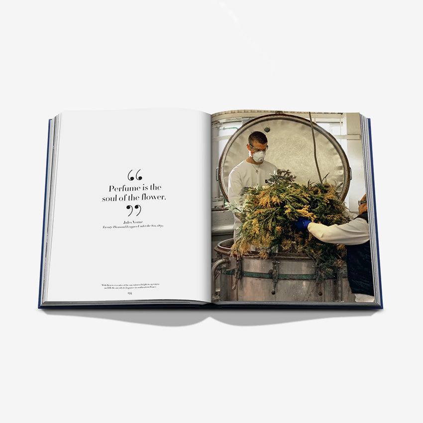 Assouline | Robertet
