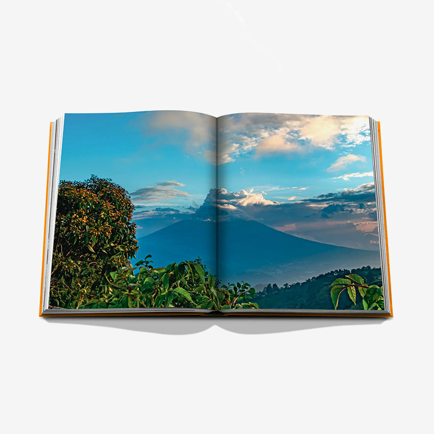 Assouline | « Ron Zacapa from Guatemala »