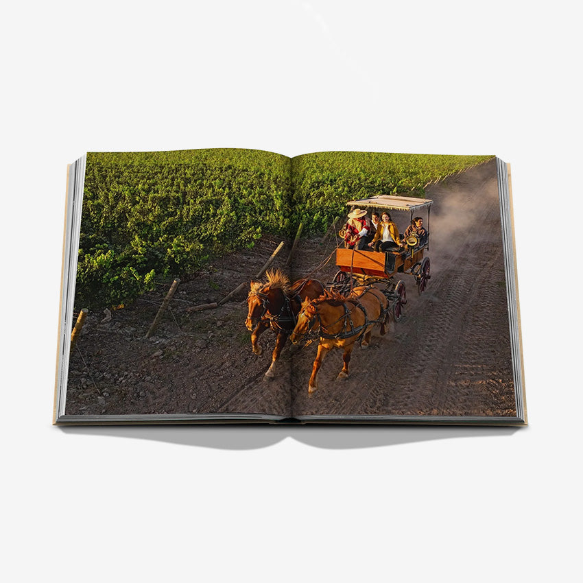 Assouline | « Wine & Travel Latin America »