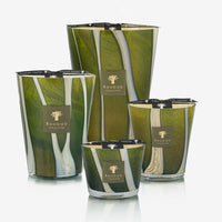 Baobab Collection | Bougie Woods Sherwood