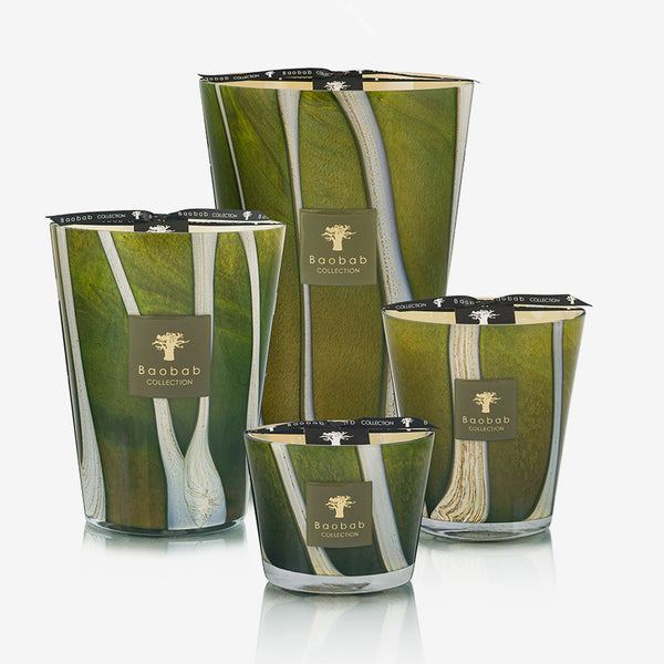 Baobab Collection | Bougie Woods Sherwood