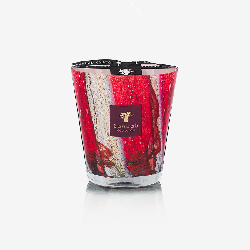 Baobab Collection | Bougie Woods Risoud