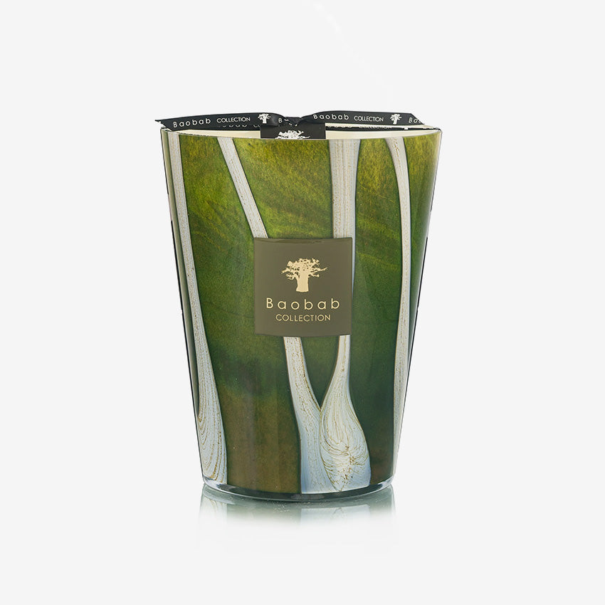 Baobab Collection | Bougie Woods Sherwood