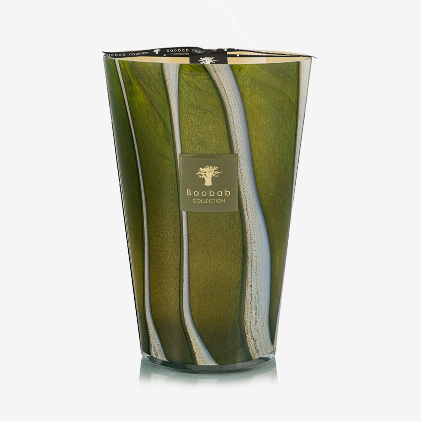 Baobab Collection | Bougie Woods Sherwood