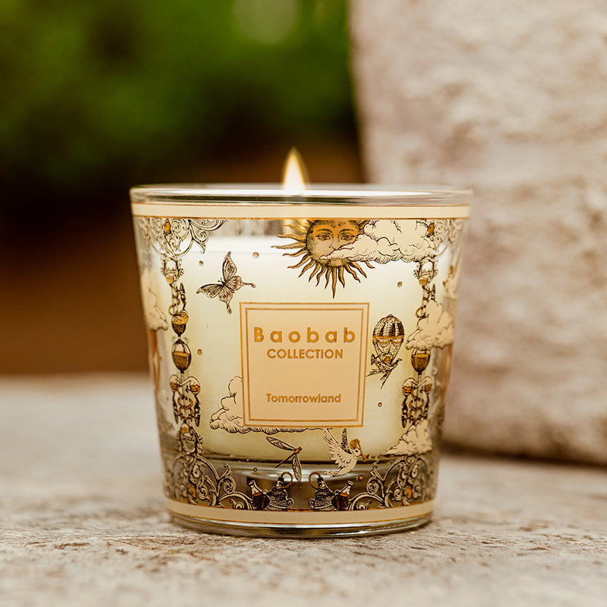 Baobab Collection | My First Baobab - Tomorrowland 2025