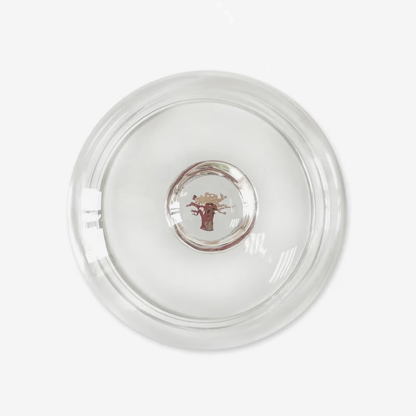 Baobab Collection | Cloche Max 16