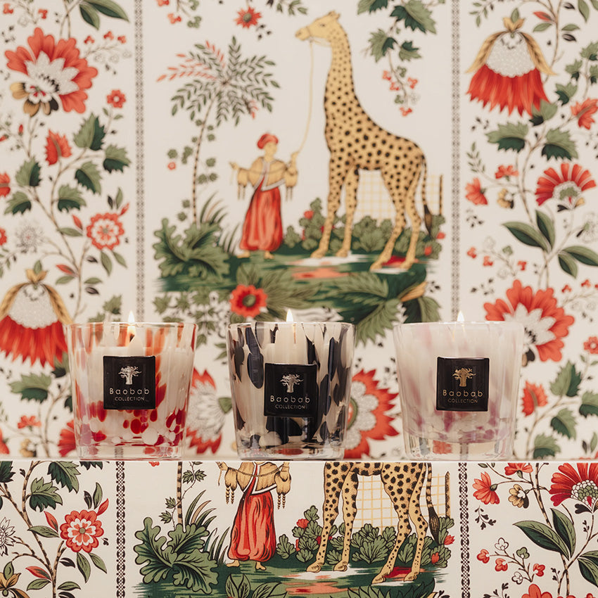 Baobab Collection | Bougies Pearls Trio