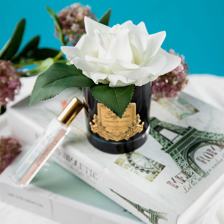 Côte Noire | French Rose