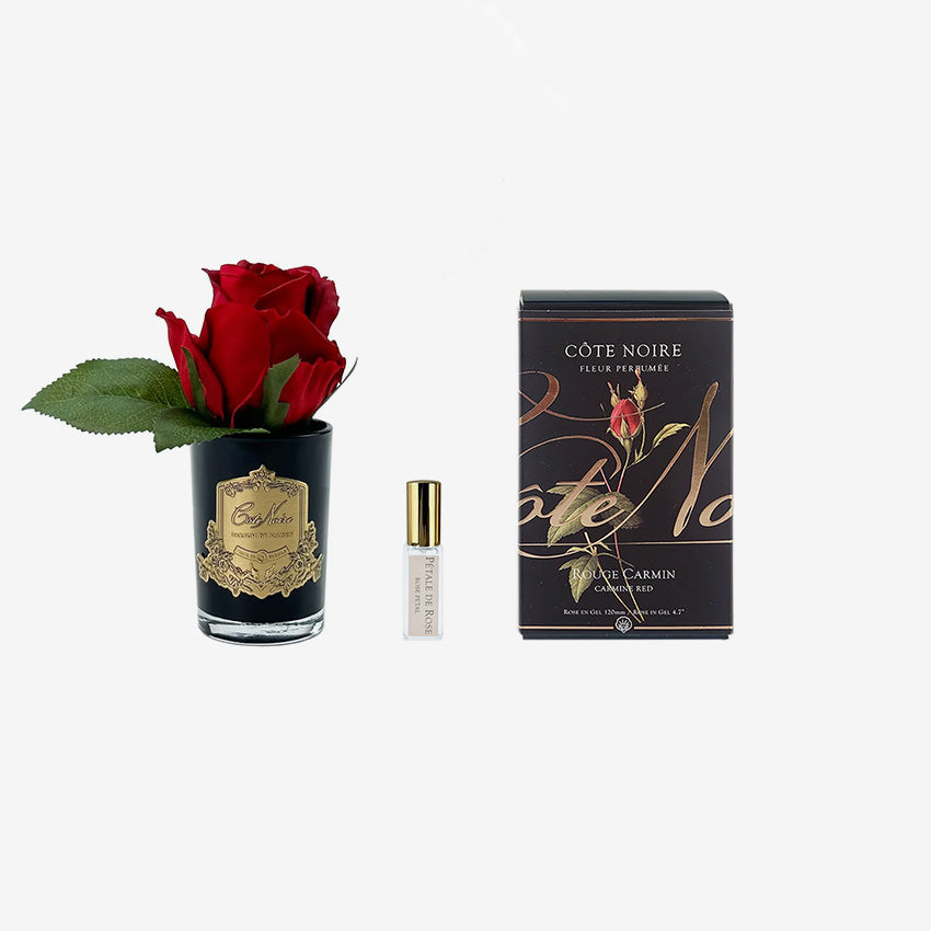 Côte Noire | Rose Bud
