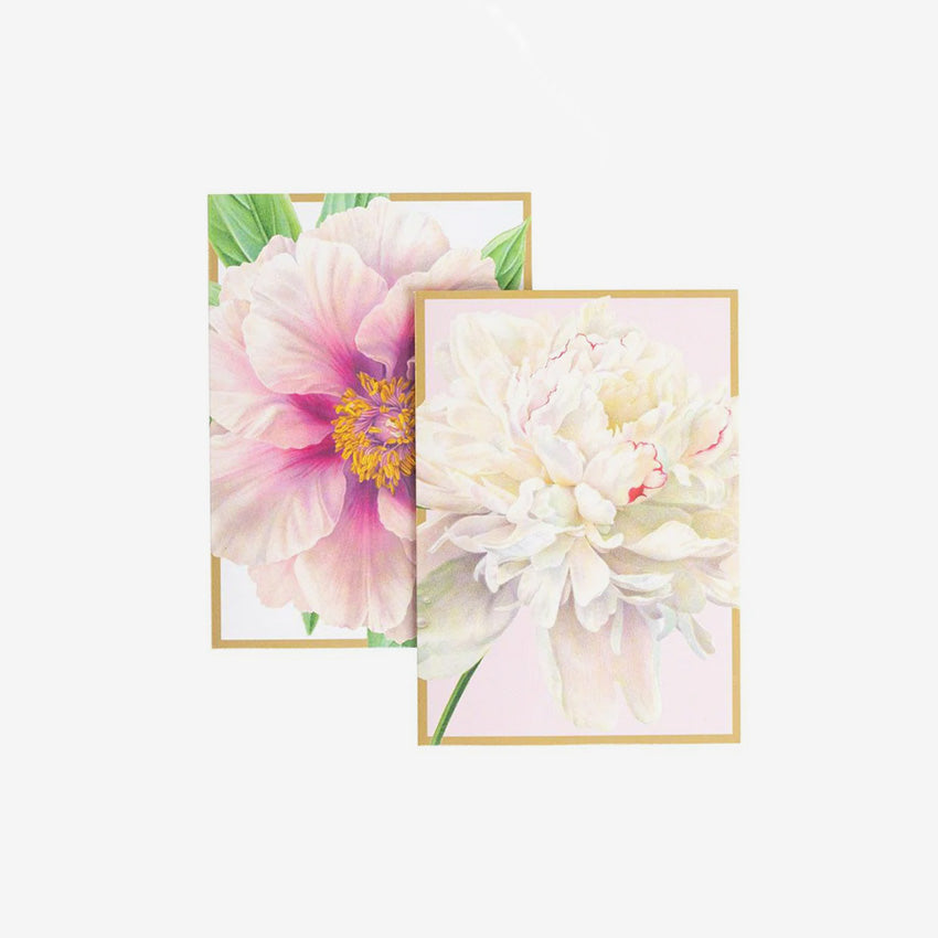 Caspari | Peony Assorted Notes 8 In