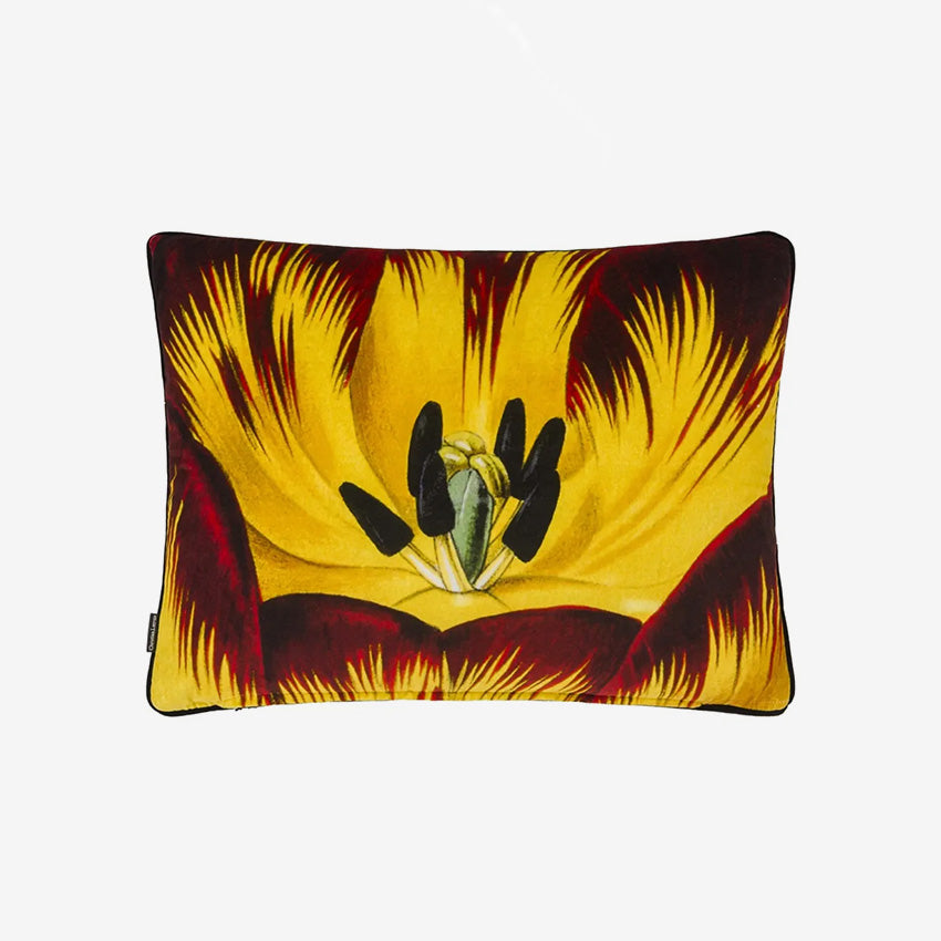 Designers Guild | Éclosion Agate Coussin - 60 x 45 cm