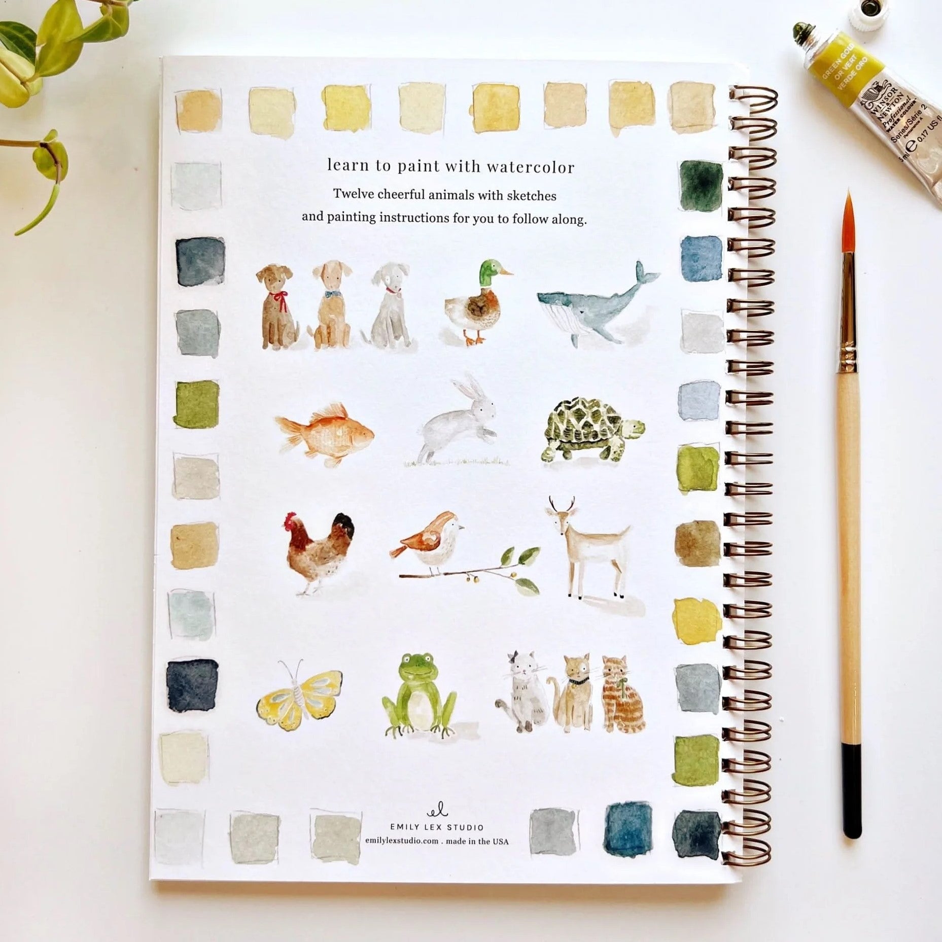 Emily Lex | Animals Watercolour Workbook