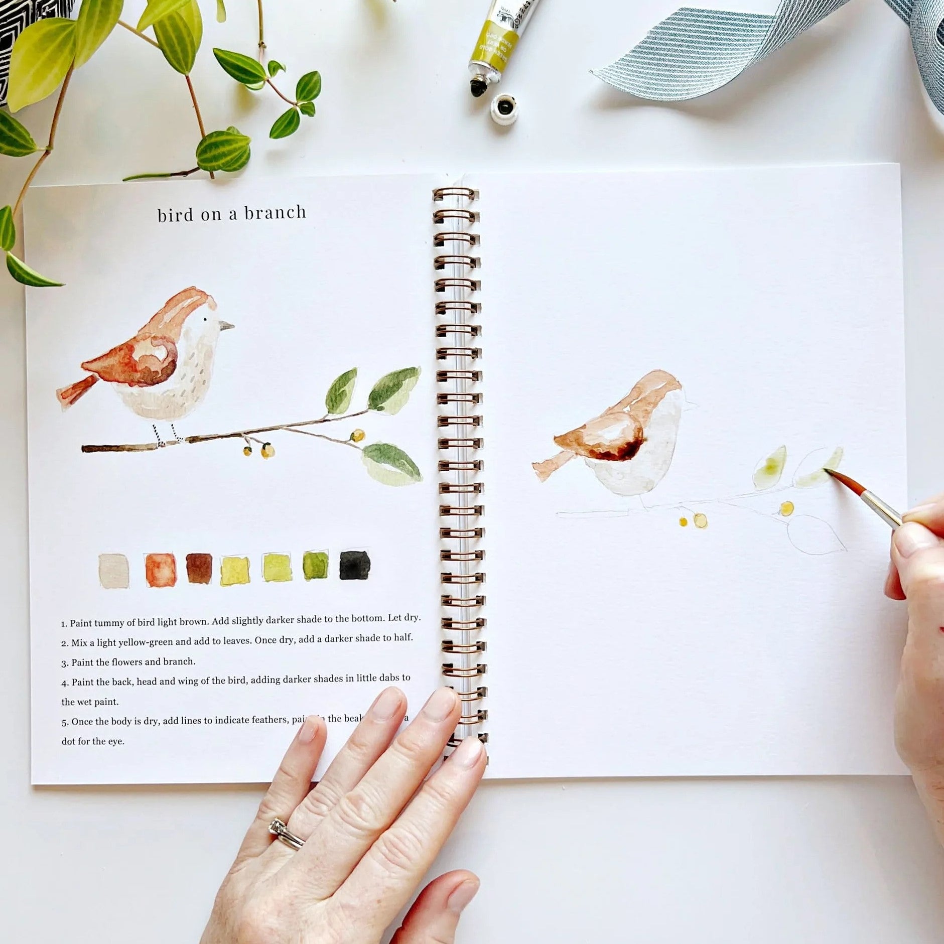 Emily Lex | Animals Watercolour Workbook