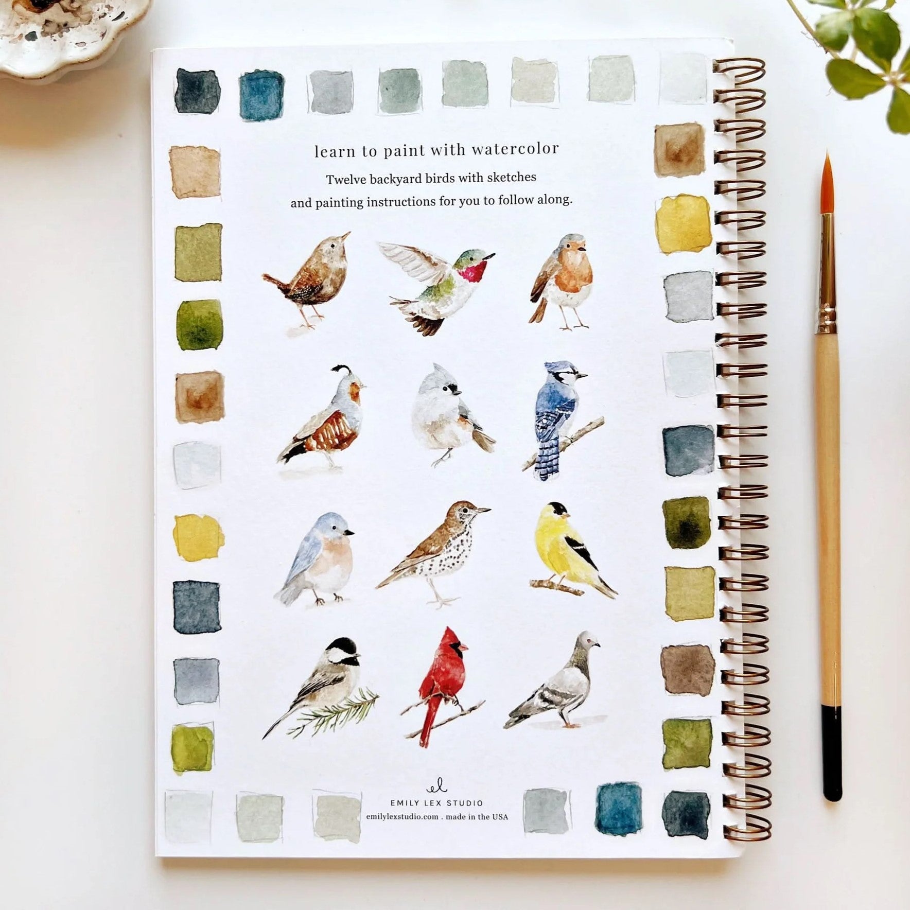 Emily Lex | Birds Watercolour Workbook