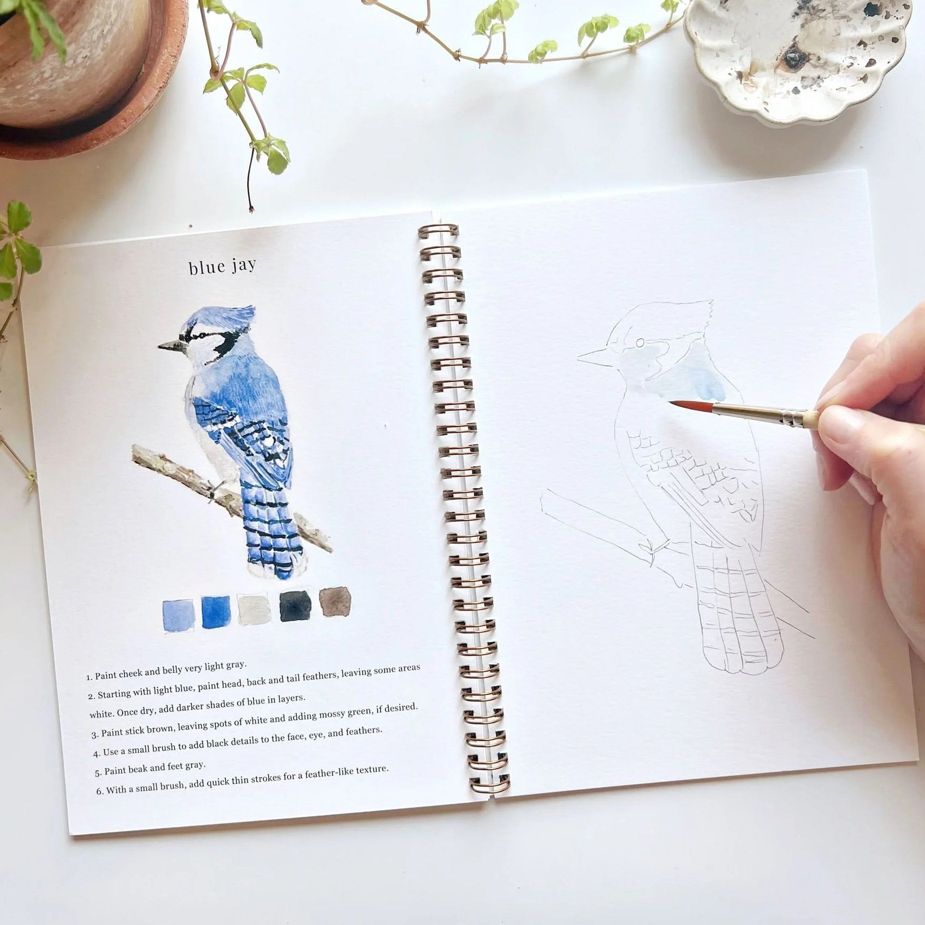 Emily Lex | Birds Watercolour Workbook