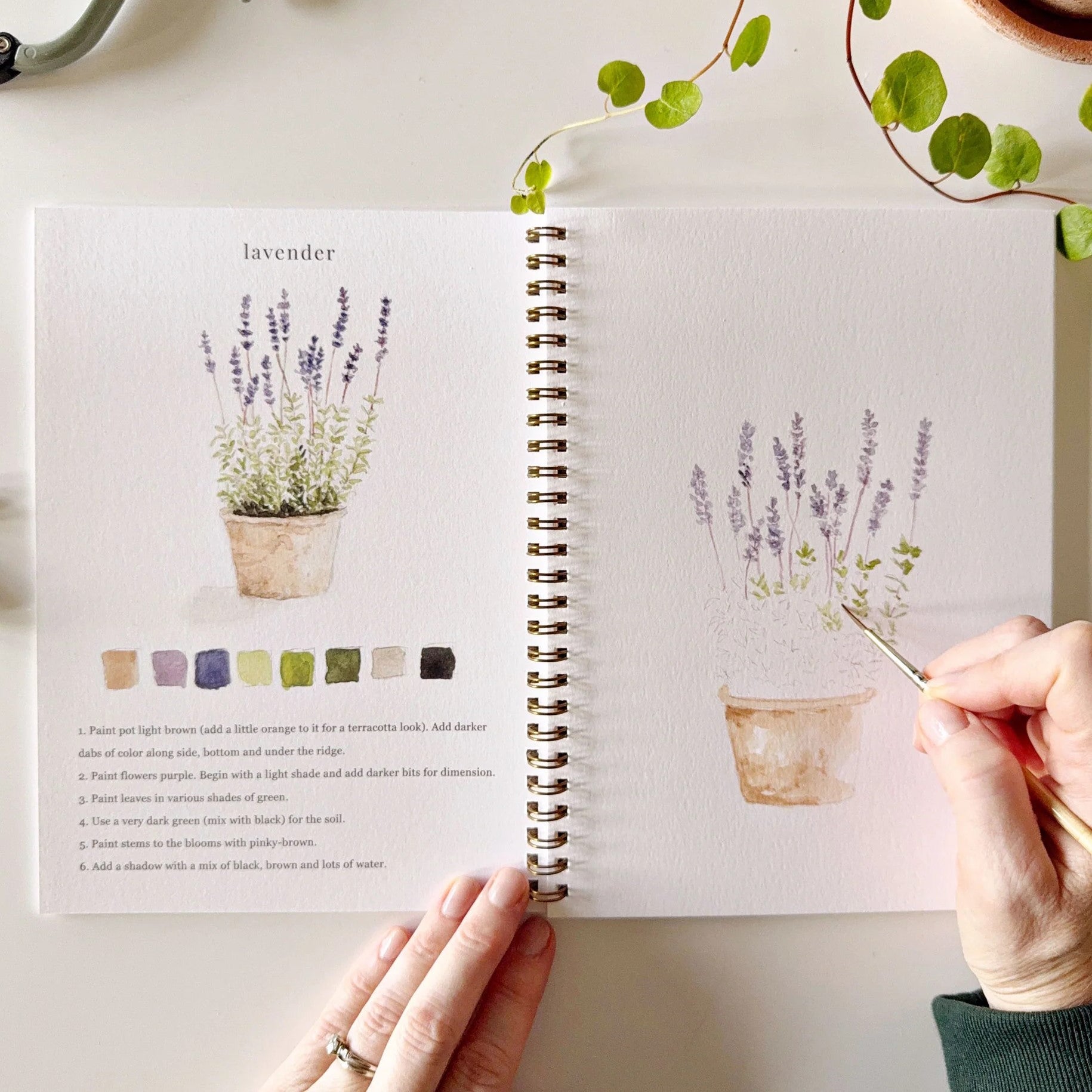Emily Lex | Garden Watercolour Workbook