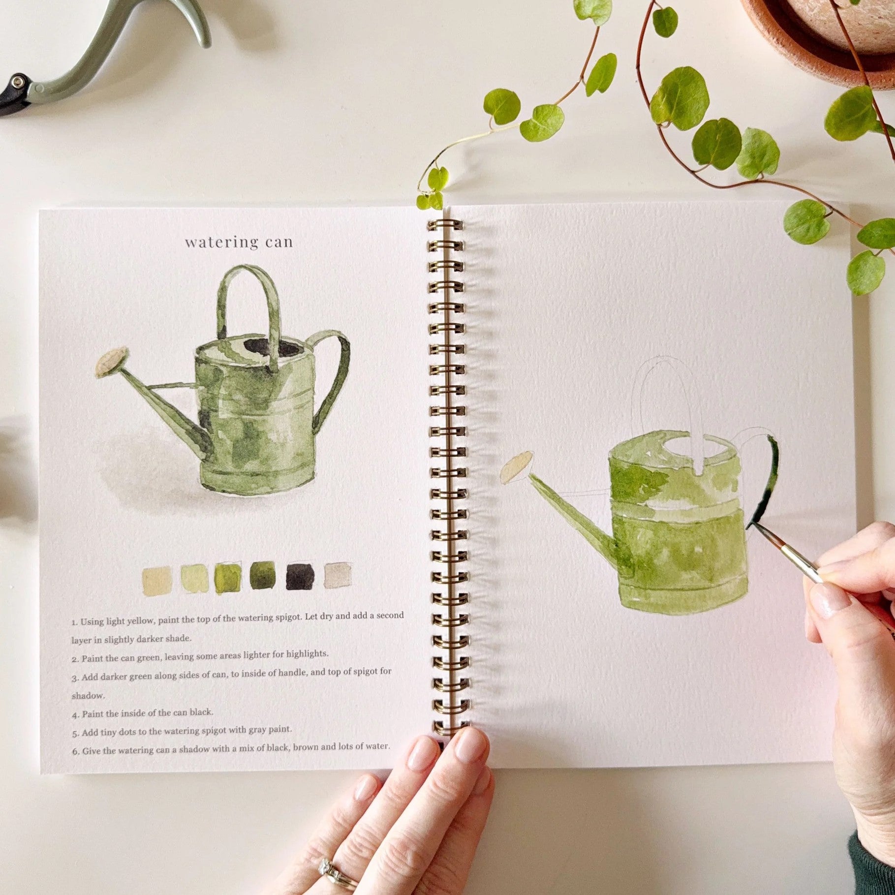 Emily Lex | Garden Watercolour Workbook